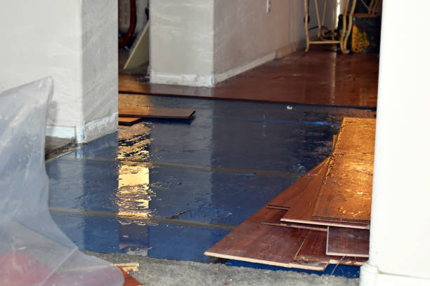 Professional Sewage Cleanup technician working in Del Valle, TX